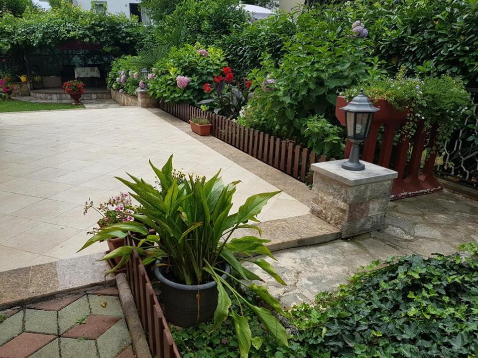 Villa Diana Apartments 波雷奇 外观 照片